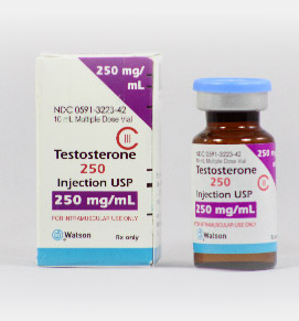 Testosterone 250 Injection - Watson